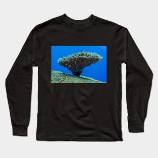 tiny reef fish on the small top coral which is on the big coral top Long Sleeve T-Shirt